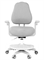 Комплект парта Colore Grey (new) + кресло Paeonia Grey с подлокотниками + тумба SS25 - фото 11563