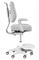 Комплект парта Colore Grey (new) + кресло Paeonia Grey с подлокотниками + тумба SS25 - фото 11564