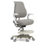 Комплект парта Colore Grey (new) + кресло Paeonia Grey с подлокотниками + тумба SS25 - фото 11569