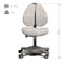 Комплект стол-трансформер Colore + эргономичное кресло Brassica - фото 6549