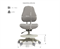 Комплект парта Freesia Grey и кресло Paeonia Grey с подлокотниками + лампа в подарок - фото 10982