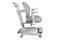 Комплект парта Iris Grey + кресло кресло Agosto Grey 250981