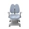 Комплект парта Sentire + кресло Estate Grey + чехол для кресла в подарок - фото 7844