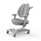 Комплект парта Camellia + кресло Bellis Cubby + чехол для кресла в подарок - фото 8009